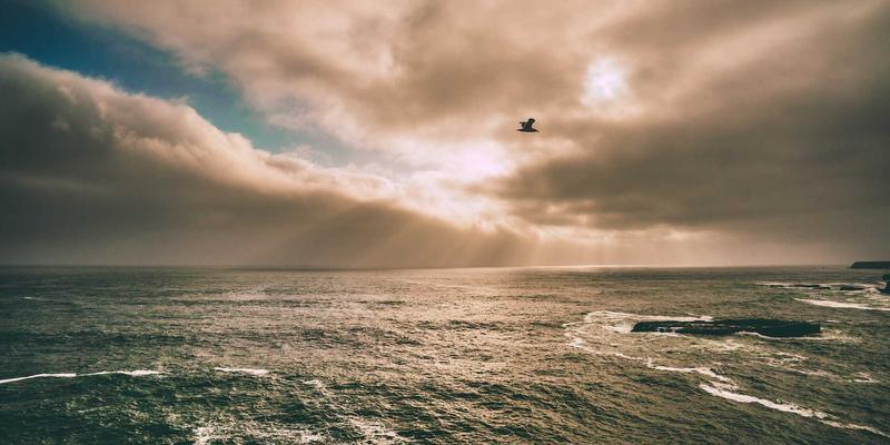 51财富赢:超越股票,构建多元被动收入管道的财富管理新思维